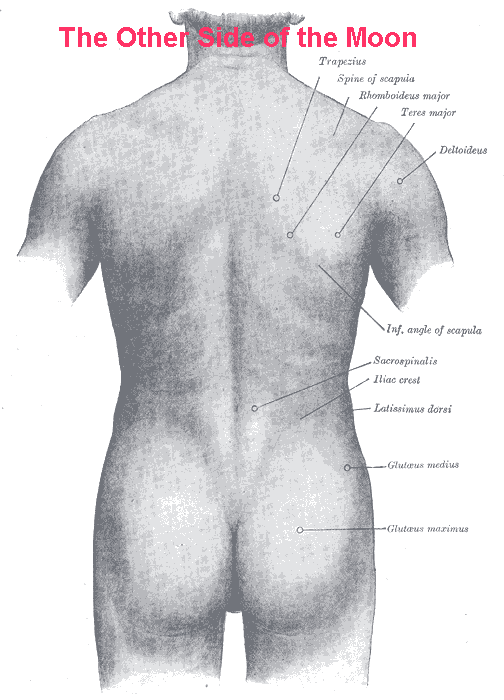 Body-BM-Directing